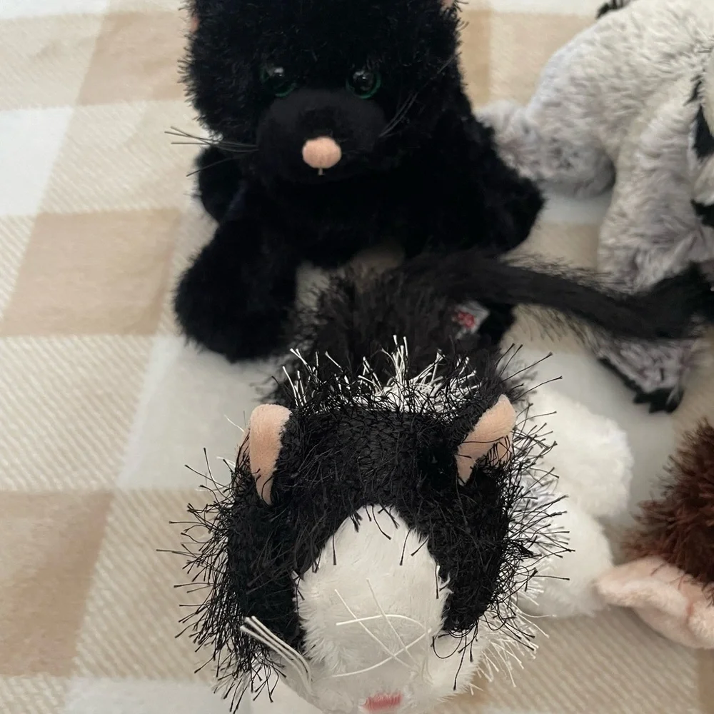 Lot of 11 Webkinz toys, Cats, Dogs, Racoon, and Monkey. Only the frog has a code